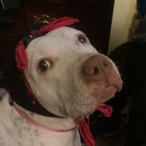 Meet your Posher, Izaiah